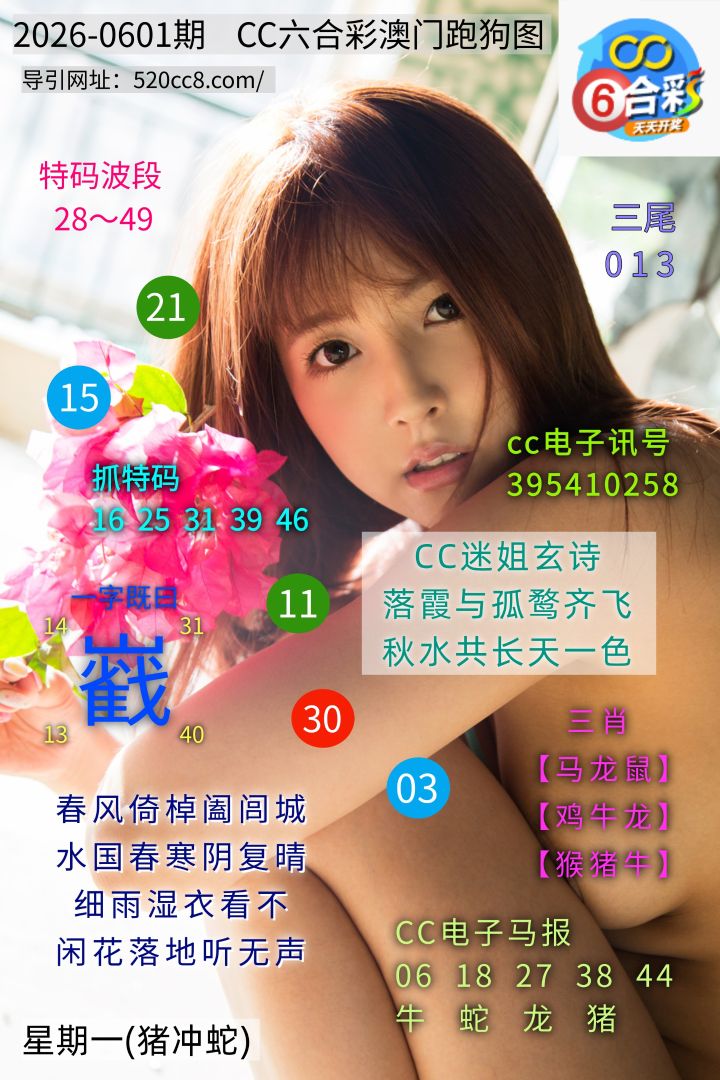 CC六合澳门跑马图0601期
